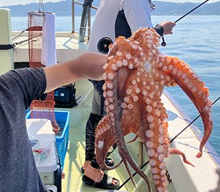 マダコ釣り専門　橘丸